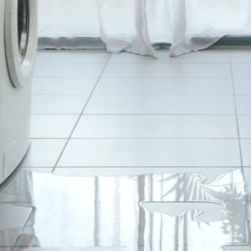 Appliance Leak Cleanup in Howard County, MO