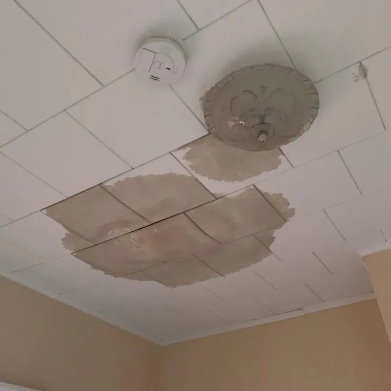 Ceiling Water Damage Repair in Howard County, MO