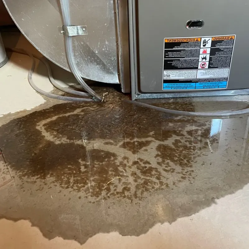 Pipe Burst and Leak Restoration in Howard County, MO